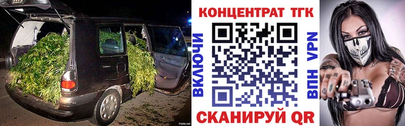 ТГК Wax  Багратионовск 